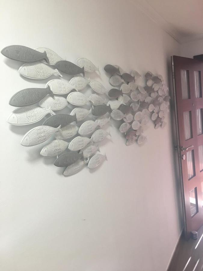 Beach Inn Apartment Alcudia  Dış mekan fotoğraf