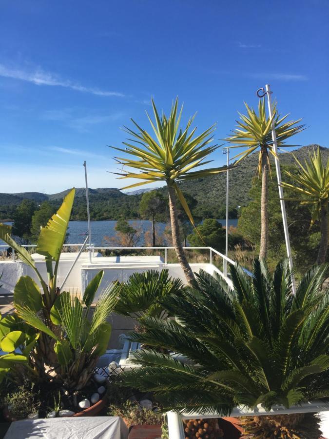 Beach Inn Apartment Alcudia  Dış mekan fotoğraf