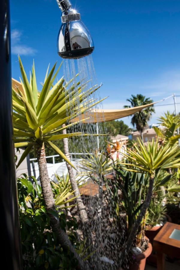 Beach Inn Apartment Alcudia  Dış mekan fotoğraf