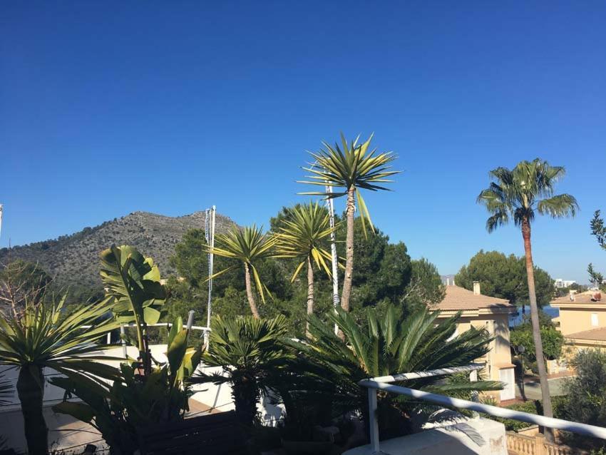 Beach Inn Apartment Alcudia  Dış mekan fotoğraf