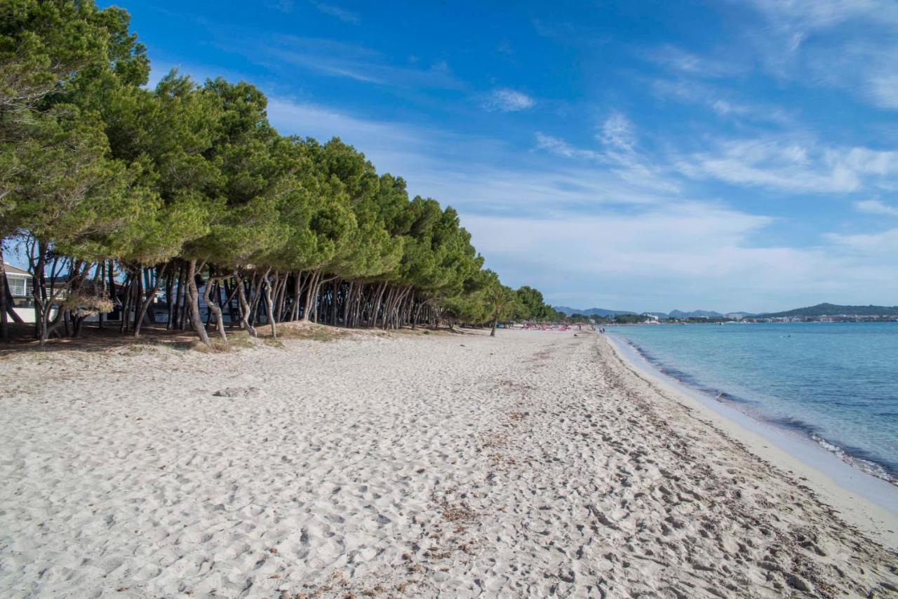 Beach Inn Apartment Alcudia  Dış mekan fotoğraf