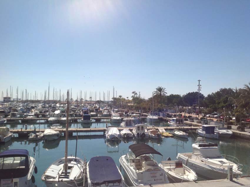 Beach Inn Apartment Alcudia  Dış mekan fotoğraf