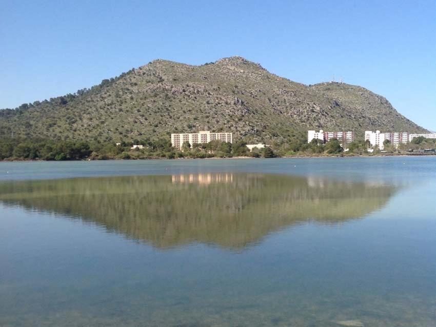 Beach Inn Apartment Alcudia  Dış mekan fotoğraf